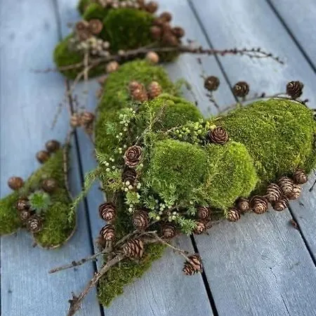 公寓 奎姆比切尔乡村酒店 *